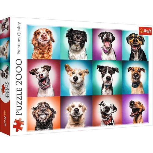 Funny Dog Portraits